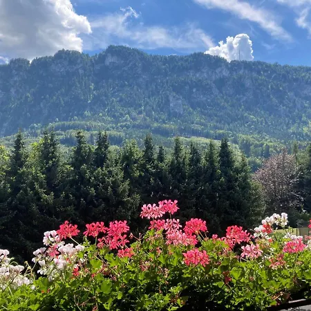 Mit Seeblick, Unterach Am Attersse *