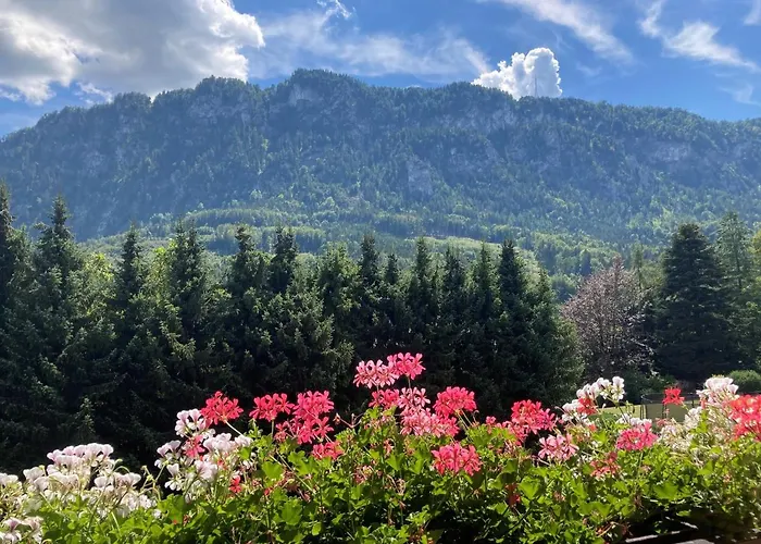 Mit Seeblick, Unterach Am Attersse *